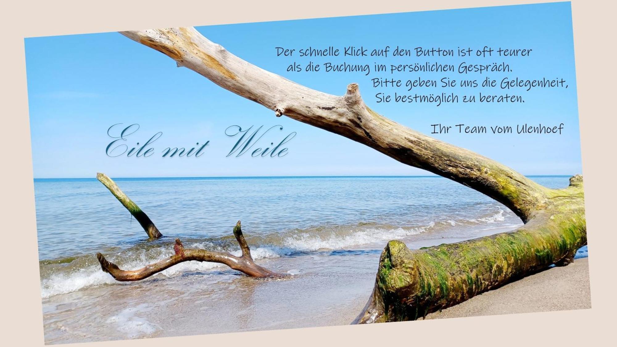Fewo Kaeuzchen - Ulenhoef Prerow Ngoại thất bức ảnh